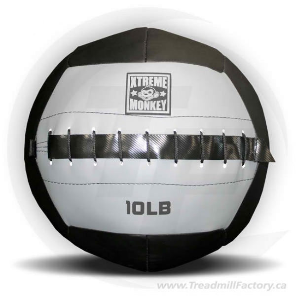 Xtreme Monkey 10lbs Wall Medicine Ball
