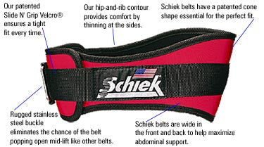Schiek 6" Support Belts