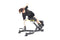 ALTAS Fitness AL-3037 Roman Chair