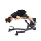 ALTAS Fitness AL-3037 Roman Chair