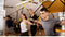TRX Suspension Home Training System (with door anchor)