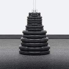 Element Fitness 300lbs Virgin Rubber Grip Olympic Weight Set